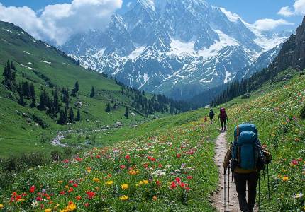 Jammu to Gulmarg Sonmarg Pahalgam Explorer