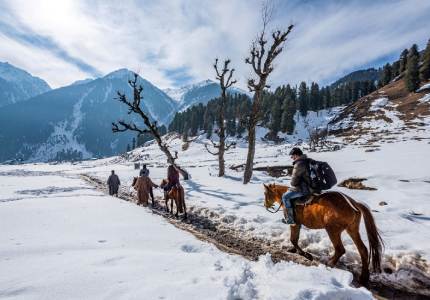 Kashmir Taxi