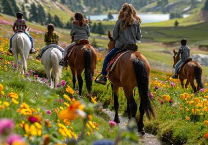 Amritsar to Srinagar with Gulmarg Sonmarg Pahalgam