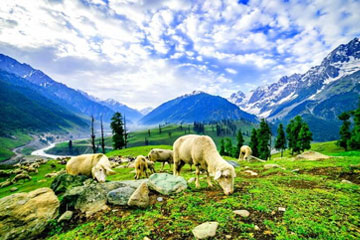 5 Days Srinagar Scenic Escape