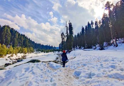 Sacred Hills of Kashmir: Vaishno Devi with Srinagar Tour